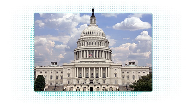 Washington DC Capitol Building stylized image